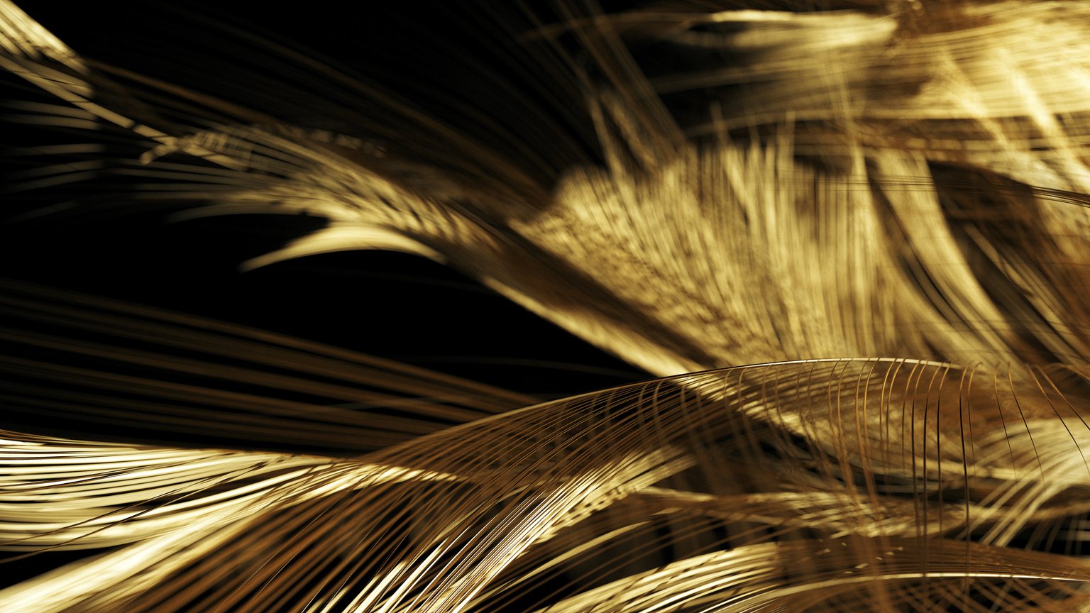 Golden feather background