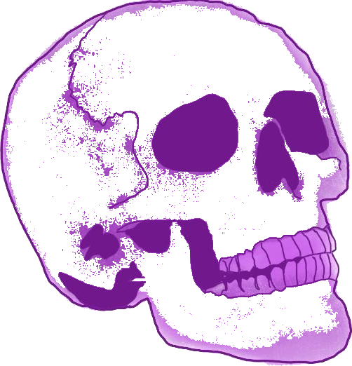 skull